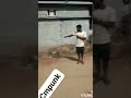 Karthika Trending Deepam