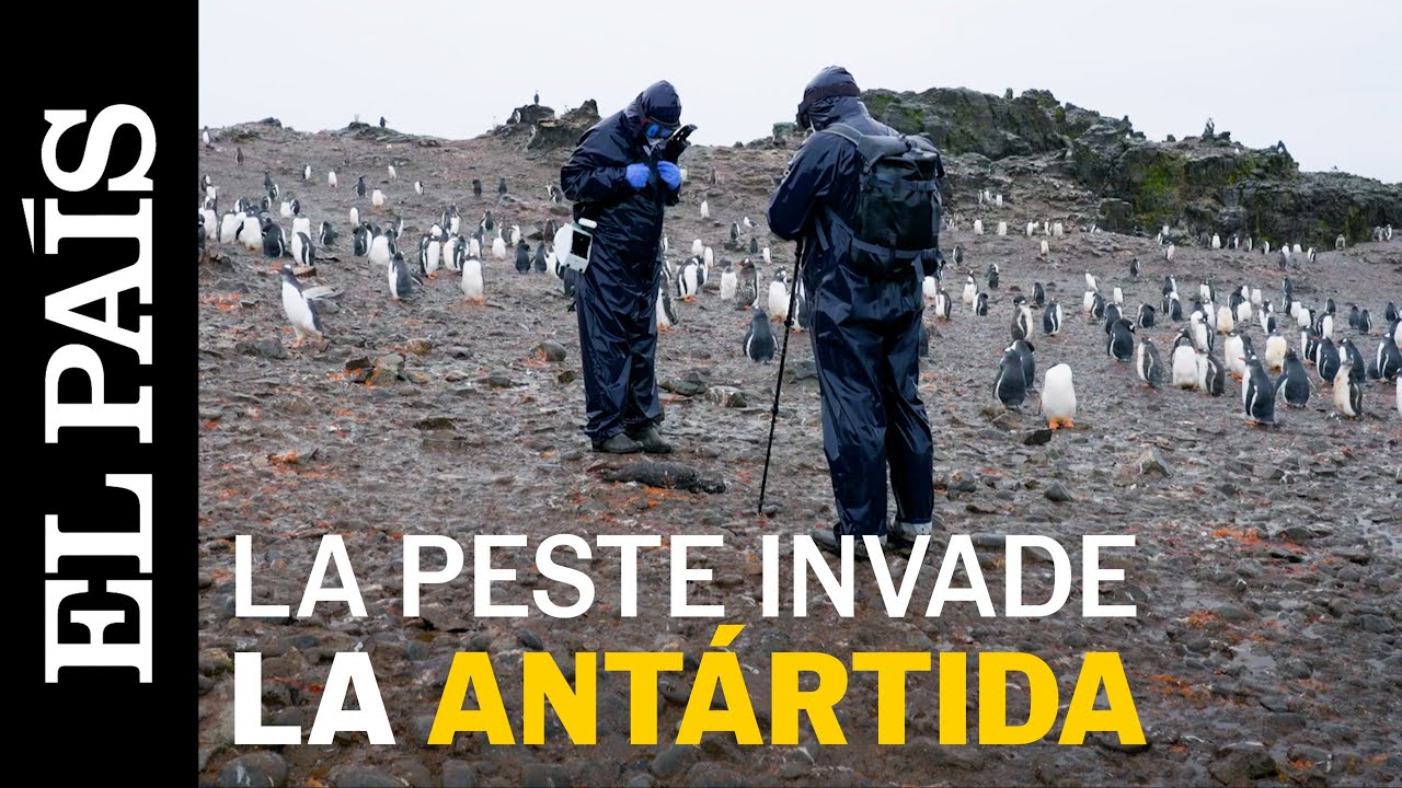 youtube video id=aXa1O4DyxPk