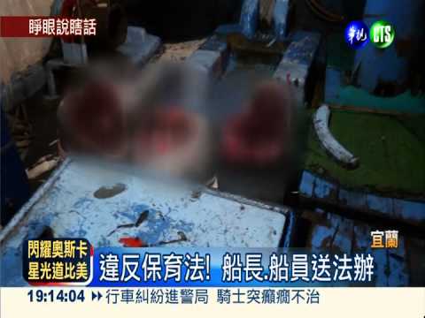 漁船私宰海豚 遭查獲辯稱"誤捕"