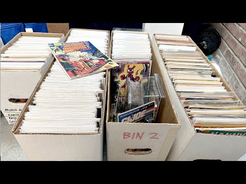 The Ultimate Comic Book Score: 4 Long Boxes Unboxed!