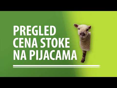 PAD cene junadi i SKOK cene prasadi | Cene stoke