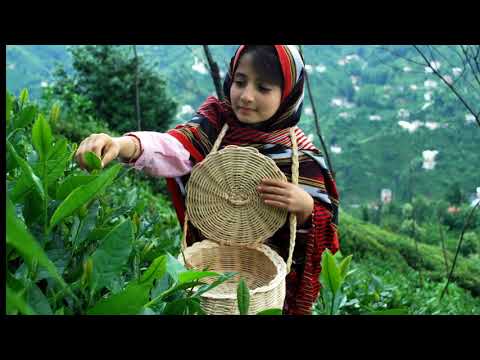 GOLDEN HORN BRASS ÇAY ELİNDEN ÖTEYE