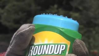 Get Rid of Nettles and Cleavers | Video | Roundup Weedkiller