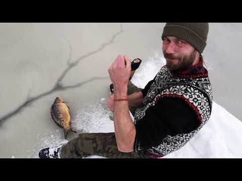 #gamerover - świąteczny karp