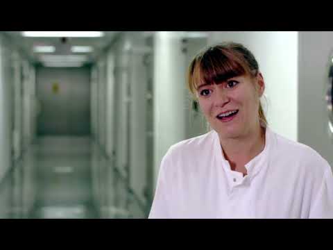 Mückenalarm - Blutsauger im Anflug Doku (2018)