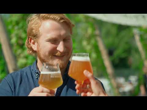 Follow the Taste in Germany