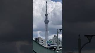 観光地 IN 浅草散歩