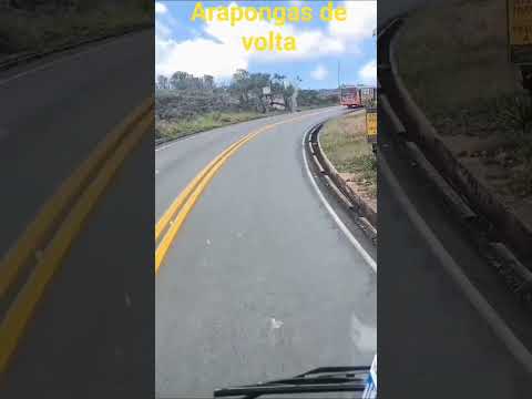 Terra Diamantina Minas gerais #shots #plantas