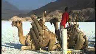 SAHEL, THE WOUNDED FRONTIER: DJIBOUTI