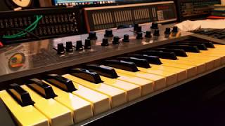 Video thumbnail for Bluedee @ Polypumpkins - Deep Dive (Technics SY-1010 ONLY) Synthy Chillout 📻 by Polypumpkins