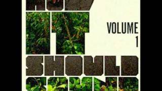 Damu The Fudgemunk - It's Called The Chill Out
