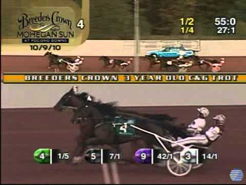 2010 Breeders Crown 3YO Male Trot