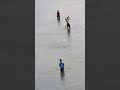 Jonymija Water Cricket Cricket Video