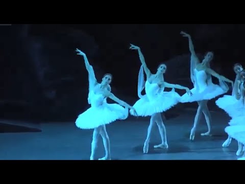 IUCN分類における絶滅の危険性を示す図。