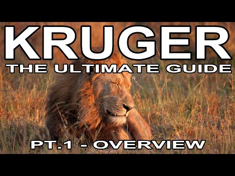 Kruger: the ultimate guide - Pt 1 - Overview