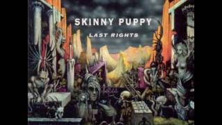 Skinny Pup͟p͟y͟ ͟-͟ ͟L͟a͟s͟t͟ Rights (1992) full album