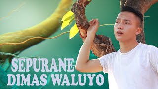 Download lagu Dimas Waluyo - Sepurane | Dangdut  mp3
