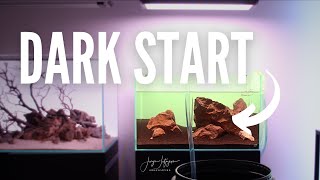 Avoid Algae and melting Plants in Aquarium | DARK START METHOD