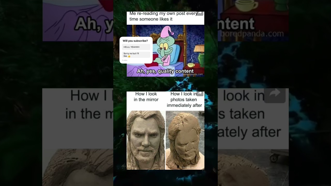 Daily memes #funny #fyp #memes