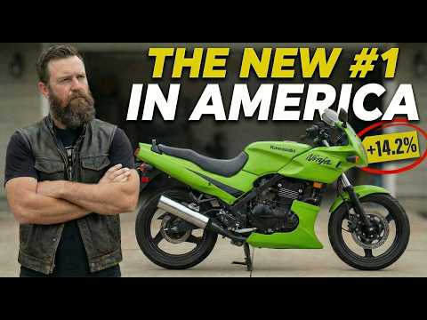 Harley Davidson's WORST Year Yet | The Motorcycle Market Exposed