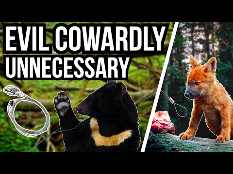 5 Species Worst Affected By The Snaring Crisis