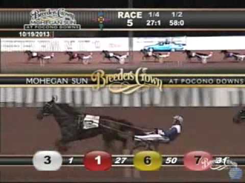 Breeders Crown 2Y Filly Trot 2013 -Shake It Cerry