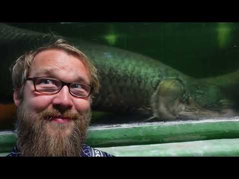 Fisherman Knut discovers the magic of aquaponic research