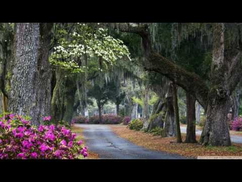 Lindsey Stirling - Forgotten City from RiME  434 Hz (1 photo)
