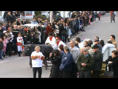 Carnaval de Fermentelos 2010d.mpg