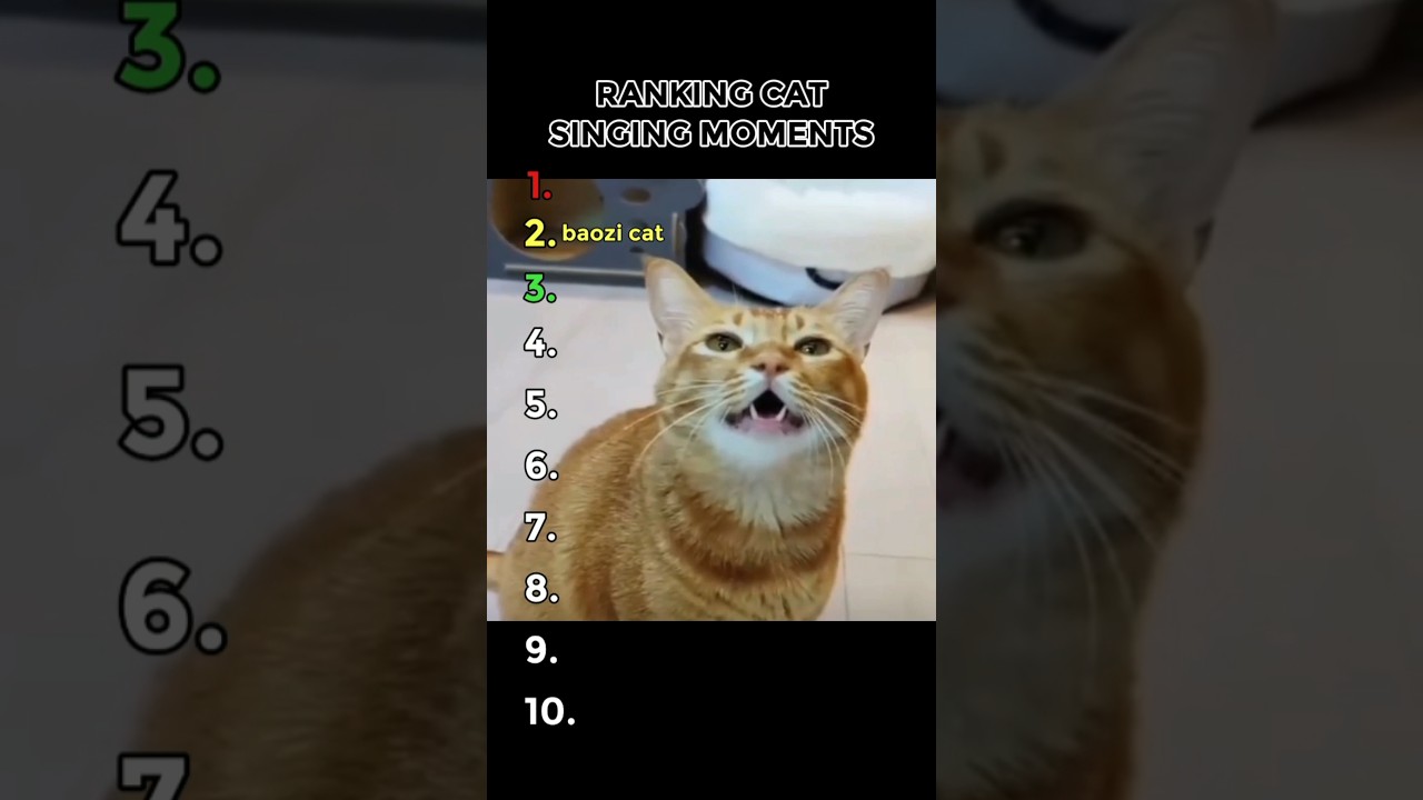 RANKING CAT SINGING MOMENTS