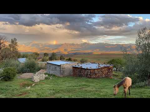 Ponies at Sunset in Malealea