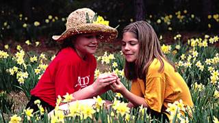preview picture of video 'This Week in Ark. History, Episode 22, Camden Daffodil Festival'