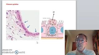 Relación de la histología del sistema respiratorio con algunas condiciones patológicas frecuentes