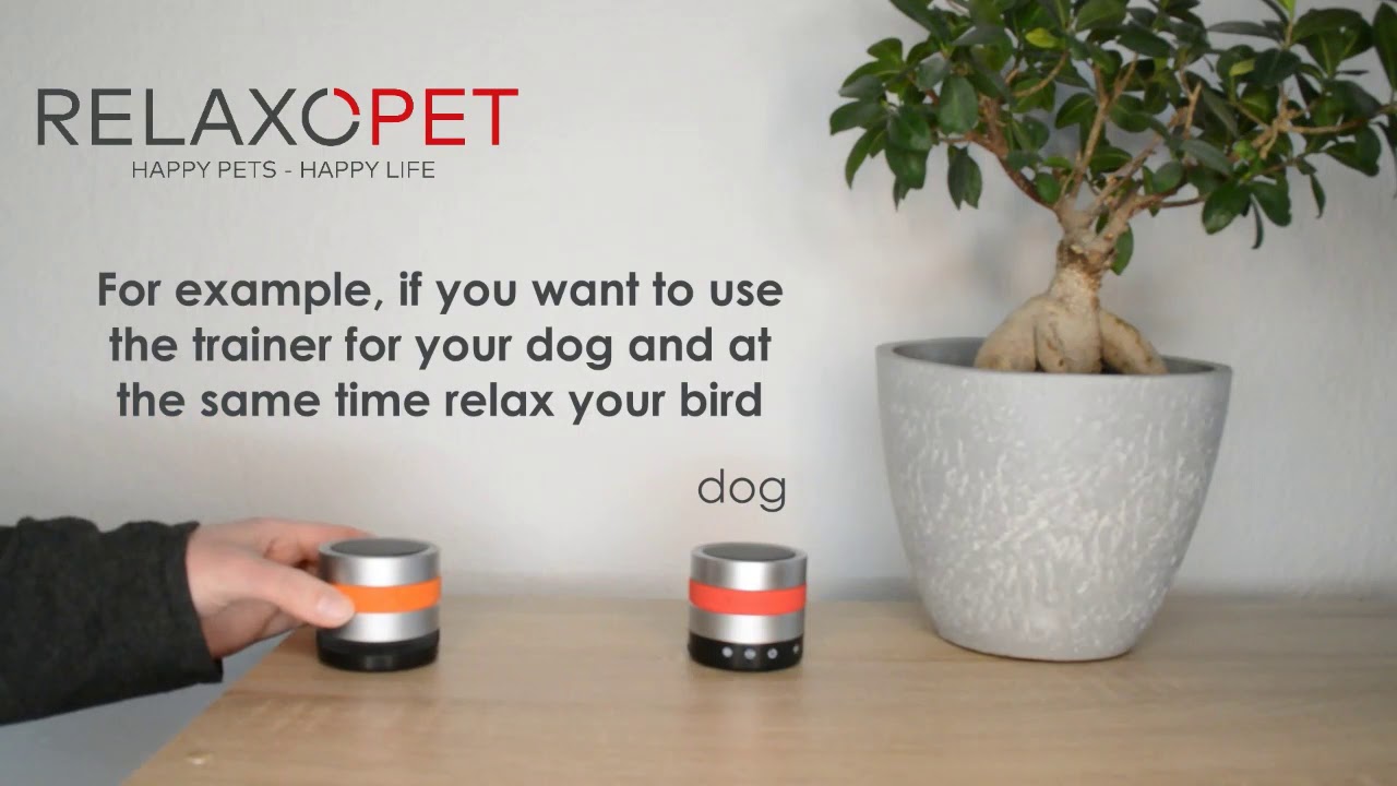 Can sound overlap occur when watching TV or listening to the radio?