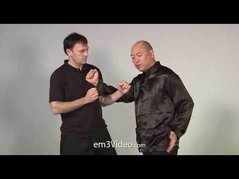 WING CHUN KUEN - Hammer & Nail - by Sifu Robert Chu