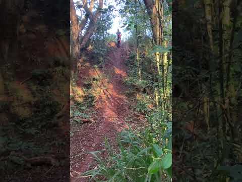 Trilha entre rios do oeste pr #trilhasradicais #dirtbike #enduro #trilha #bikelife