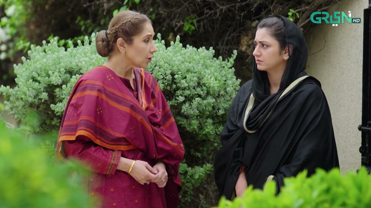 Aik Bhool Episode 49 | Best Scene 04 | Green TV Entertainment