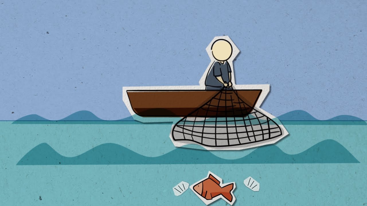 Conduta Ambiental Legal - Pesca