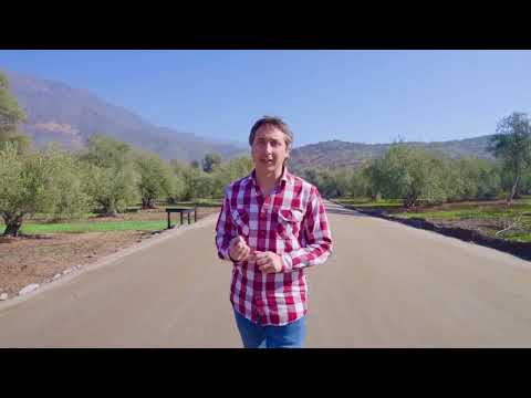 VIVE TILTIL PARCELAS A MINUTOS DE SANTIAGO CENTRO PLANAS ROL PROPIO 5000 METROS CUADRADOS #oferta