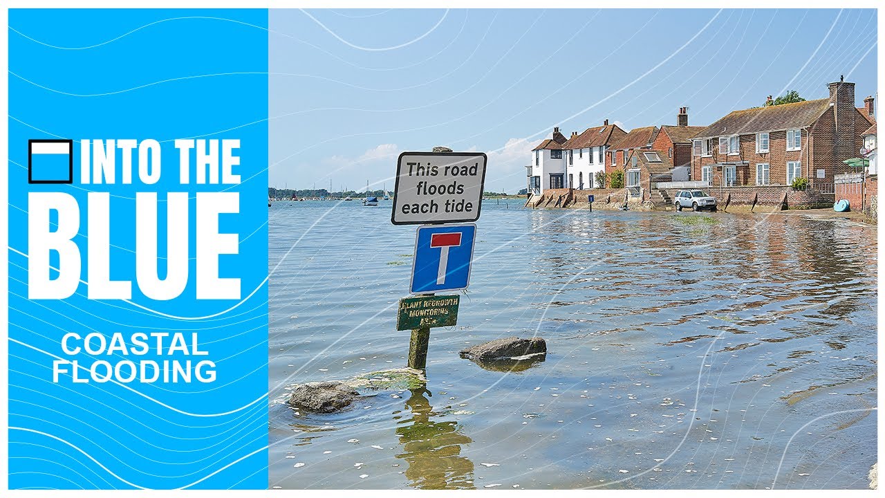 Flooding: How Do We Tackle The Biggest and Most Destructive Natural Hazard? | Into the Blue Podcast