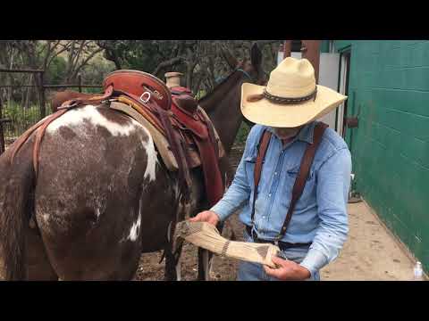 HOW SADDLING A MULE IS DIFFERENT FROM A HORSE