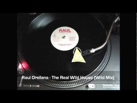 Raul Orellana - The Real Wild House (Wild Mix)