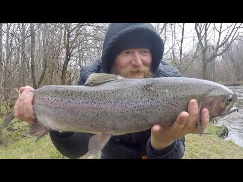 Epic close up Steelhead Bobber Down!! Acrobatic Steelhead Jumps On The Bank! Steelhead Float Fishing