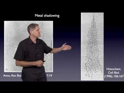 Part 4: Sample Prep: Room Temperature Methods - G. Jensen