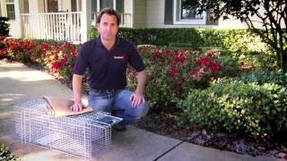 Feral Cat Traps - Havahart.com