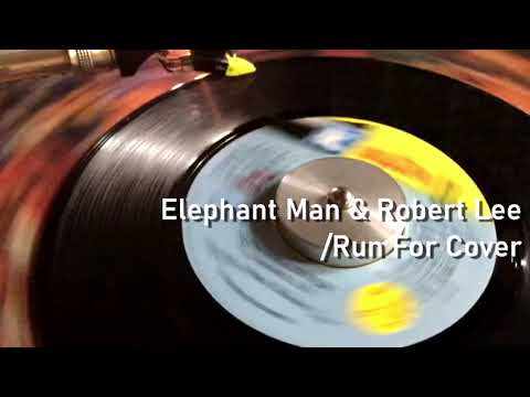 Elephant Man & Robert Lee / Run For Cover　【 Reggae Vinyl Records 】