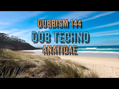 DUBBISM 144 - Anatidae | Dub Techno Session 2023🌲
