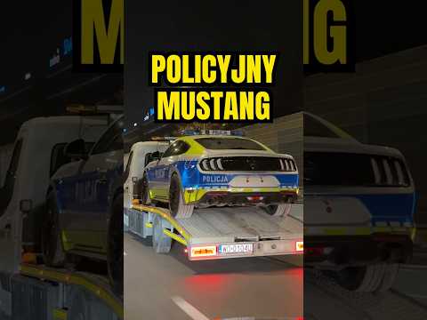 🏎️👉🚓 Zarekwirowany MUSTANG GT od pijanego kierowcy trafił już do policji 💨 #policja #mustang