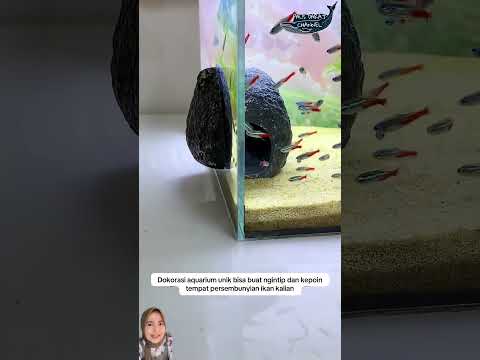 Rumah ikan unik #water #ikan #ikanhias #fish #aquascape #aquarium #fyp #funny #pets #pet #unik #fun