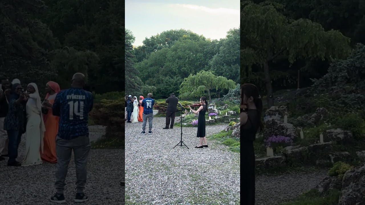 Promotional video thumbnail 4 for Solo Violinist, Jess W